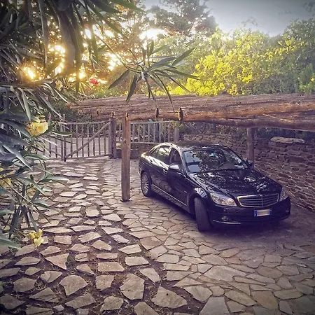 Flor, Exclusive House With Pool In * Stintino