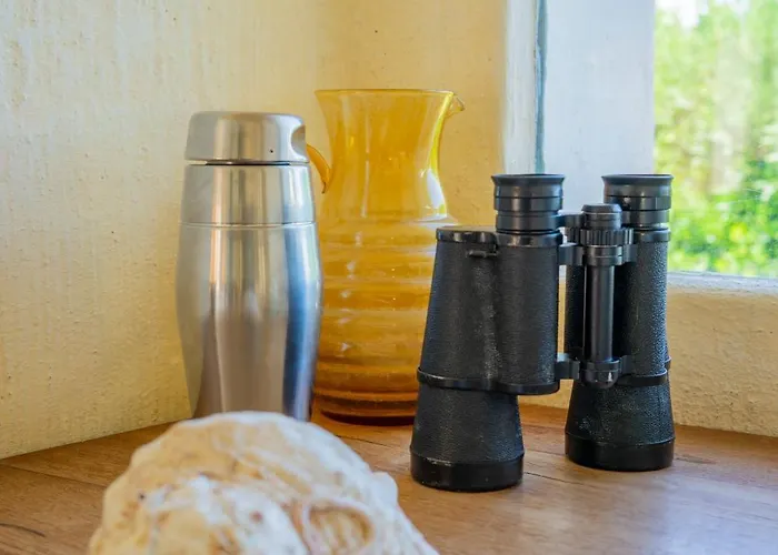 Villa Flor, Exclusive House With Pool In *